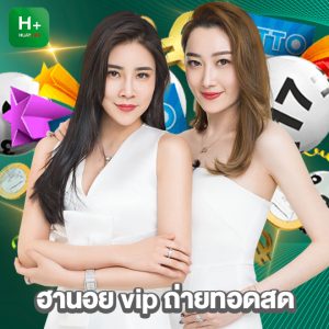 huaylike ฮานอย vip ถ่ายทอดสด